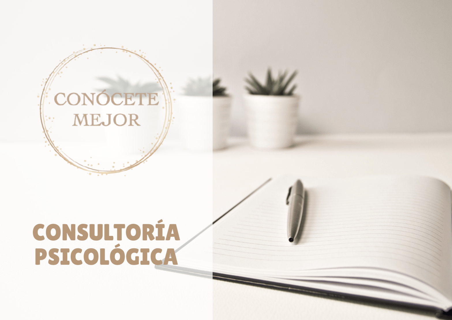 qué es la consultoría psicológica