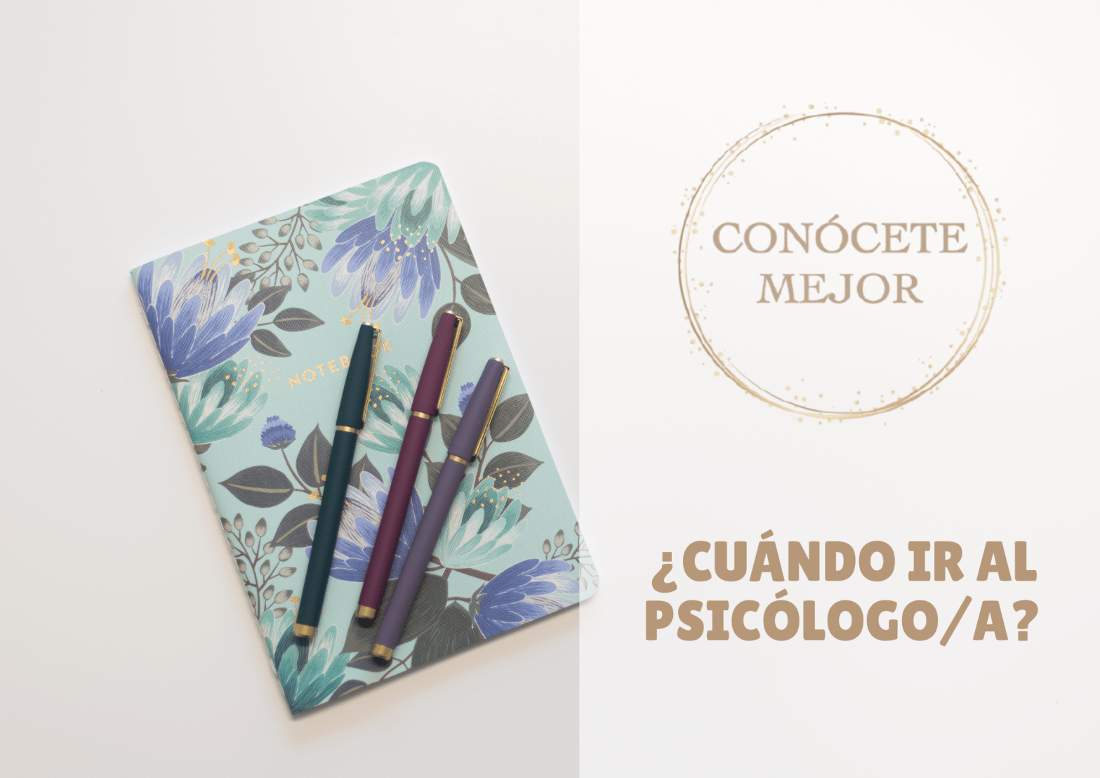 cuándo debo ir al psicólogo