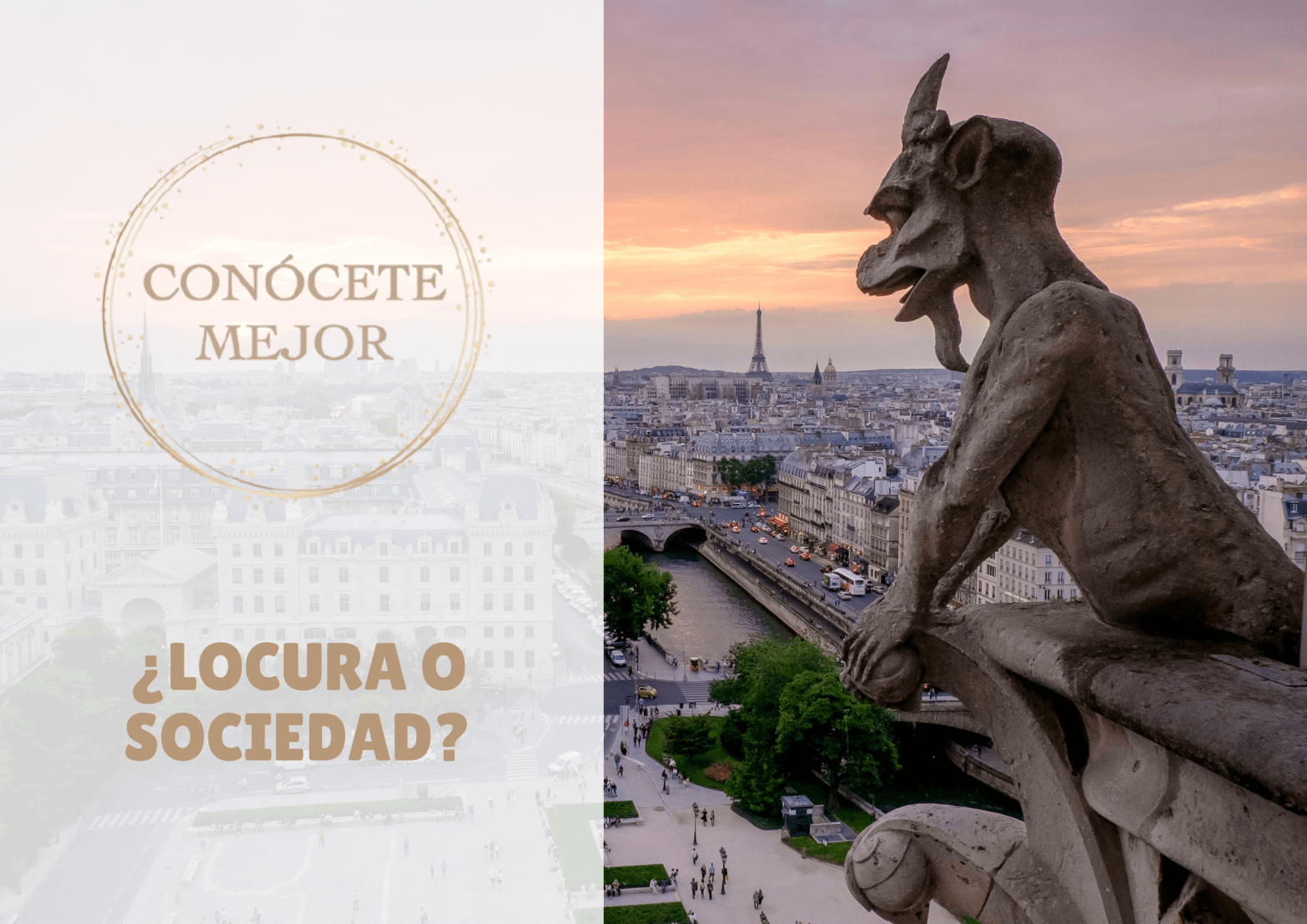 la invención de los trastornos mentales