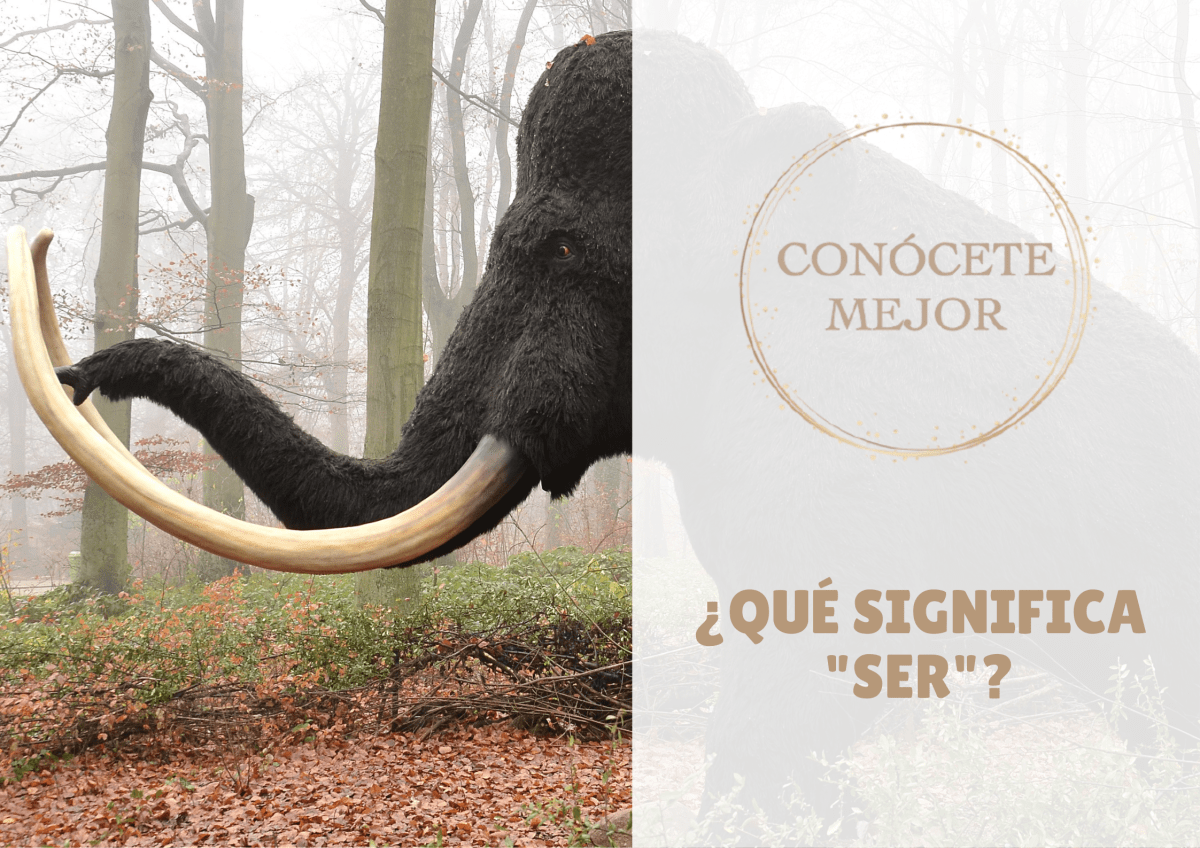 ¿Qué significa «ser»?